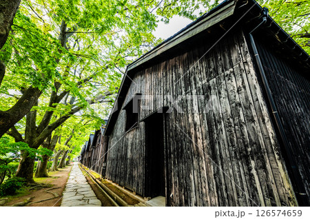 山形 山居倉庫　ケヤキ並木と倉庫群 126574659