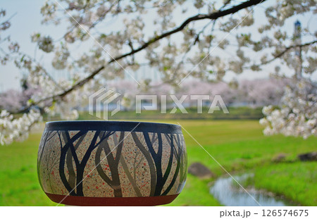 桜の花に包まれて 桜の花に包まれて 126574675