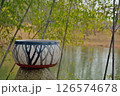 小さな竹林に包まれて 126574678