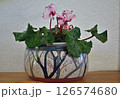 深鉢を鉢カバーとしてみました 126574680