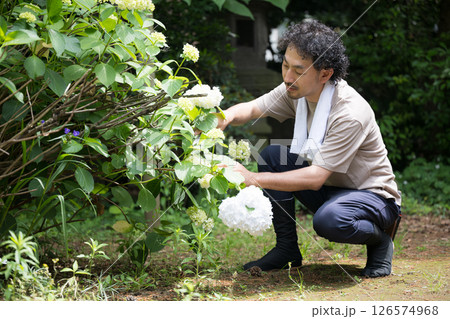 植木屋さんや庭師の紫陽花などの剪定のイメージ 126574968