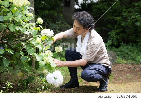 植木屋さんや庭師の紫陽花などの剪定のイメージ 植木屋さんや庭師の紫陽花などの剪定のイメージ 126574969
