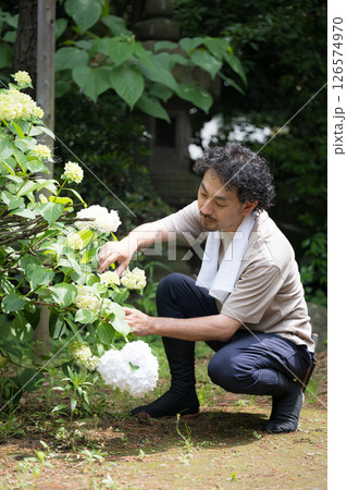 植木屋さんや庭師の紫陽花などの剪定のイメージ 126574970