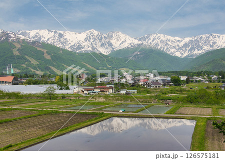 水田に映る残雪の白馬三山　長野県白馬村 126575181