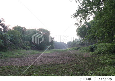 a dead river view on village a dead river view on village 126575280