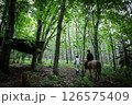 森の中で乗馬体験（リトリート） 126575409