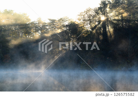 朝靄に包まれる湖と差し込む朝日　五色沼 126575582