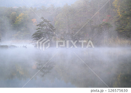 朝靄に包まれた湖 五色沼 朝靄に包まれた湖 五色沼 126575630