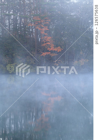 朝靄に包まれた湖　五色沼 126575638