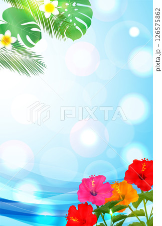 海　夏　ハイビスカス　和柄　背景 126575862