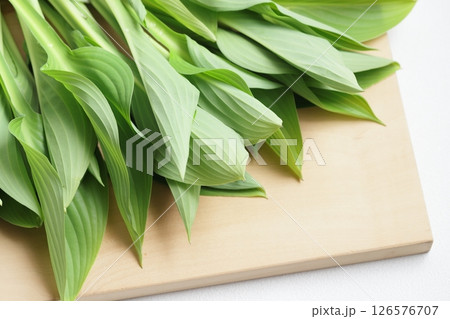 春野菜　うるい 126576707