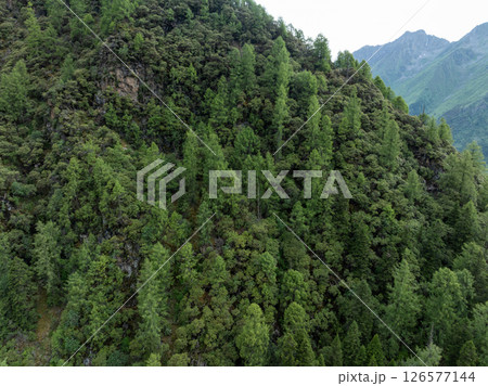 Aerial view of beautiful high altitude forest mountain landscape 126577144