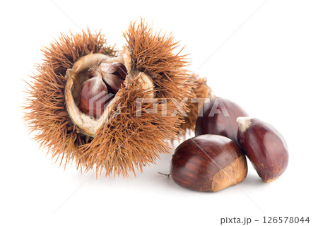 Chestnuts with shell 126578044
