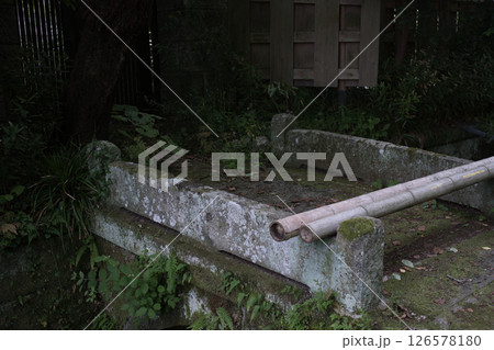 明月院通りの小川 126578180