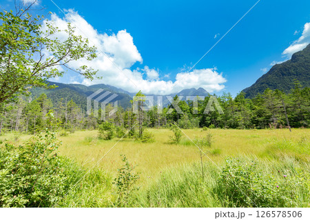 ＜長野県＞上高地の絶景　田代湿原 126578506