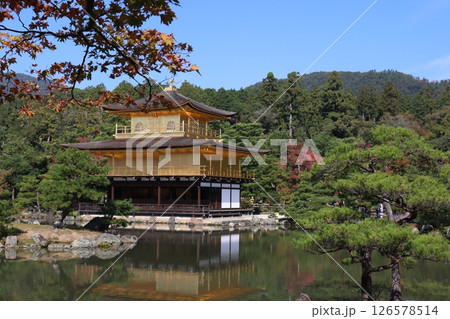 金閣寺 126578514