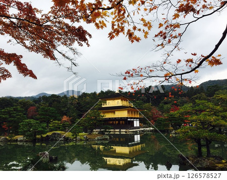 金閣寺 126578527