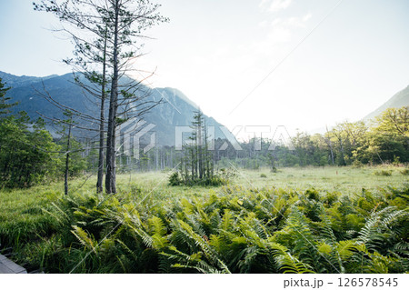 ＜長野＞上高地の絶景　岳沢湿原と六百山 126578545
