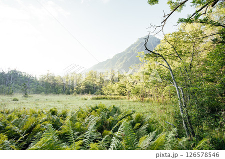 ＜長野＞上高地の絶景　岳沢湿原と六百山 126578546