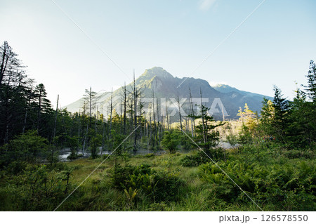 ＜長野＞上高地の絶景　岳沢湿原と六百山 126578550