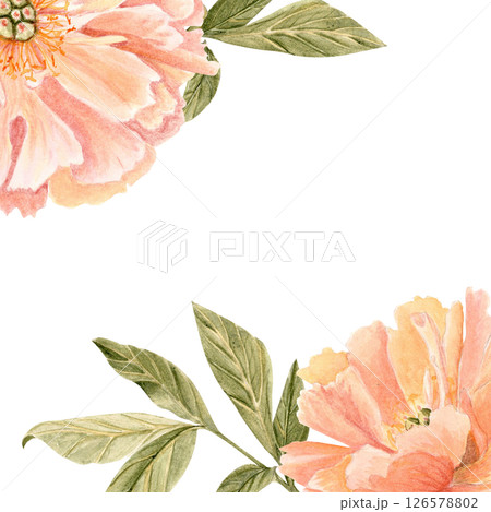 Corner composition with soft coral peonies leaves isolated on white, painted in watercolor, ideal for wedding invitations, RSVP cards, branding, packaging, elegant stationery for romantic businesses 126578802