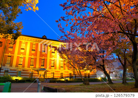 《愛知県》春の名古屋市市政資料館と満開の桜 夜景 《愛知県》春の名古屋市市政資料館と満開の桜 夜景 126579379