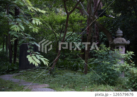 北鎌倉 浄智寺 126579676