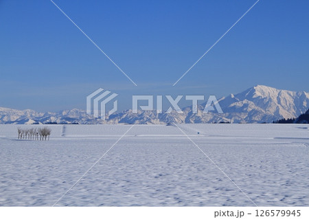 新潟県小千谷市池ヶ原雪原のハサ木・越後三山雪景色 新潟県小千谷市池ヶ原雪原のハサ木・越後三山雪景色 126579945