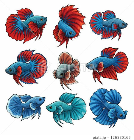 Set of Betta Fish Collection 126580165