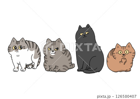 猫　ネコ　黒猫　きじねこ 126580407