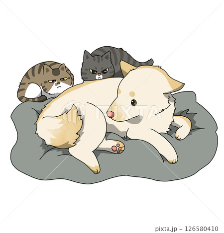 犬 猫 犬と猫 犬 猫 犬と猫 126580410