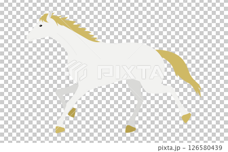 Simple vector illustration of a running white horse Simple vector illustration of a running white horse 126580439