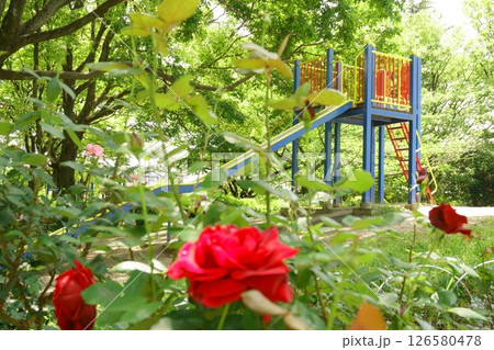 公園の木と花壇に囲まれたすべり台 公園の木と花壇に囲まれたすべり台 126580478