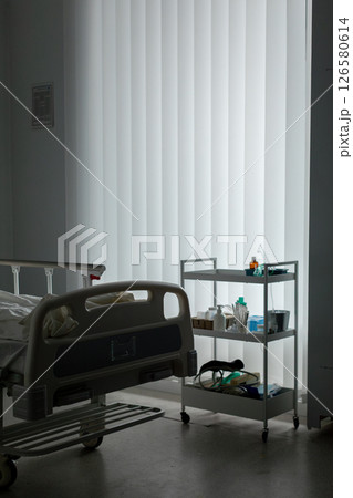 A Quiet and Calm Hospital Room Filled with Essential Medical Equipment and Supplies A Quiet and Calm Hospital Room Filled with Essential Medical Equipment and Supplies 126580614