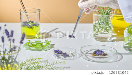 Laboratory flat lay of dried lavender, glass flasks, essential oils, and herbs used in natural cosmetic or medicinal research. 126581042