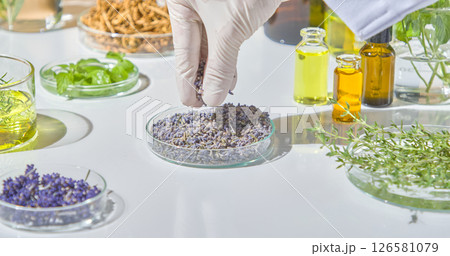 Lab worker placing dried herbs and flowers into petri dishes for examination and analysis in a natural skincare research process. Lab worker placing dried herbs and flowers into petri dishes for examination and analysis in a natural skincare research process. 126581079
