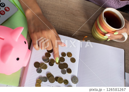 Exploring Budgeting Insights Through the Use of Coins Alongside a Piggy Bank for Saving Exploring Budgeting Insights Through the Use of Coins Alongside a Piggy Bank for Saving 126581267