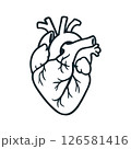 Black and White Vector Illustration of Human Heart Anatomy 126581416