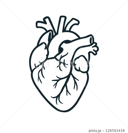 Black and White Vector Illustration of Human Heart Anatomy 126581416