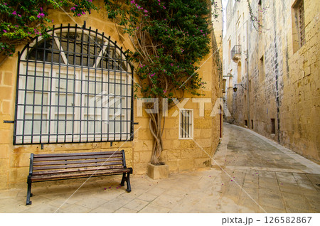 マルタにある最古の都市イムディーナのとても美しい風景 126582867