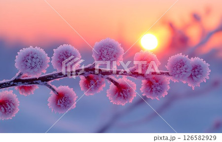 Frosted Berries on Branch at Sunrise: Winter's Icy Embrace in Pi 126582929