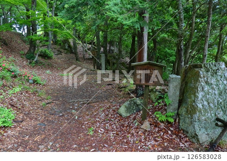 小谷城 本丸への登山道、(姉川決戦地展望所付近) 小谷城 本丸への登山道、(姉川決戦地展望所付近) 126583028
