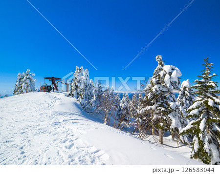 融雪が始まった樹氷原の木々 (山形県、蔵王温泉スキー場) 126583044