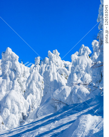 たっぷりと雪が付着した樹氷 (山形県、蔵王温泉スキー場) たっぷりと雪が付着した樹氷 (山形県、蔵王温泉スキー場) 126583045