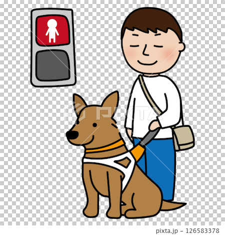 赤信号で止まる立ち耳の盲導犬 赤信号で止まる立ち耳の盲導犬 126583378