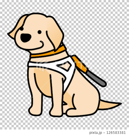 Droopy-eared guide dog 126583381