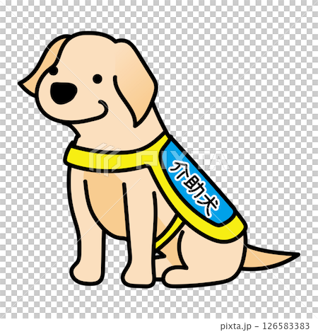 Droopy-eared service dog 126583383