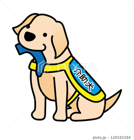 靴下を持ってくるたれ耳の介助犬 126583384
