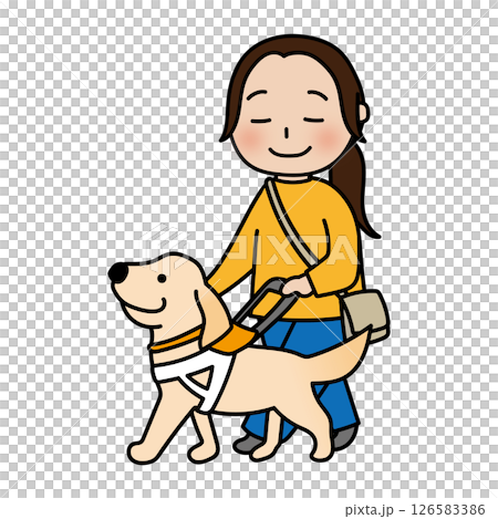 たれ耳の盲導犬と歩く女性 126583386