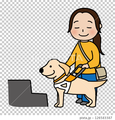 段差の前で立ち止まるたれ耳の盲導犬 126583387